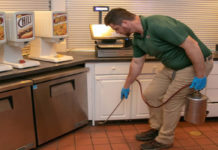 What is the Best Termite Treatment? How to stop Termites From Destroying Your House termite treatment Adelaide