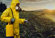 Bug Control Techniques – Most Usual