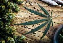 Custom Cannabis Boxes Wholesale For Packaging in Canada HRM marijuana delivery